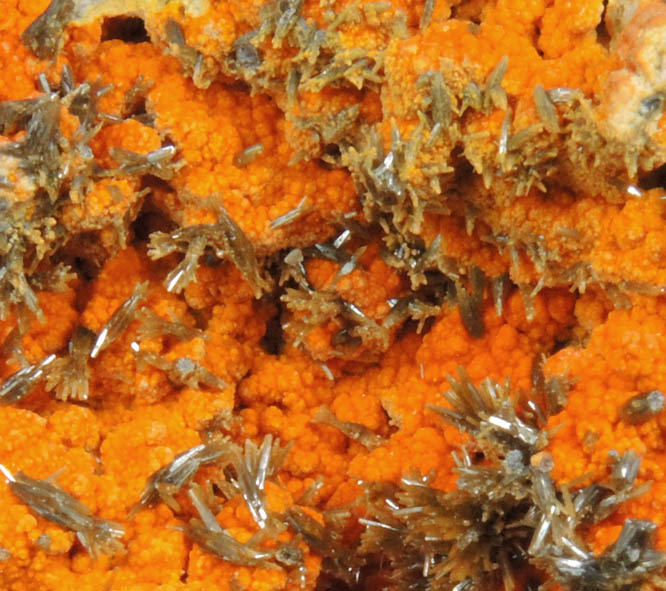 Vanadinite var. Endlichite on Descloizite from Chalk Mountain Mine, Churchill County, Nevada