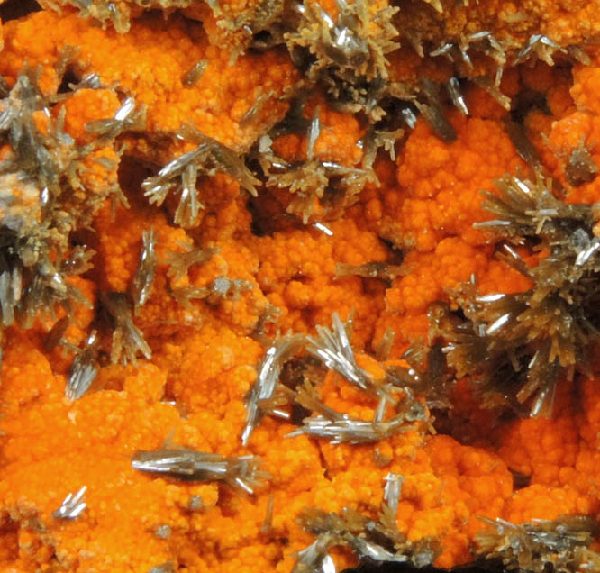 Vanadinite var. Endlichite on Descloizite from Chalk Mountain Mine, Churchill County, Nevada