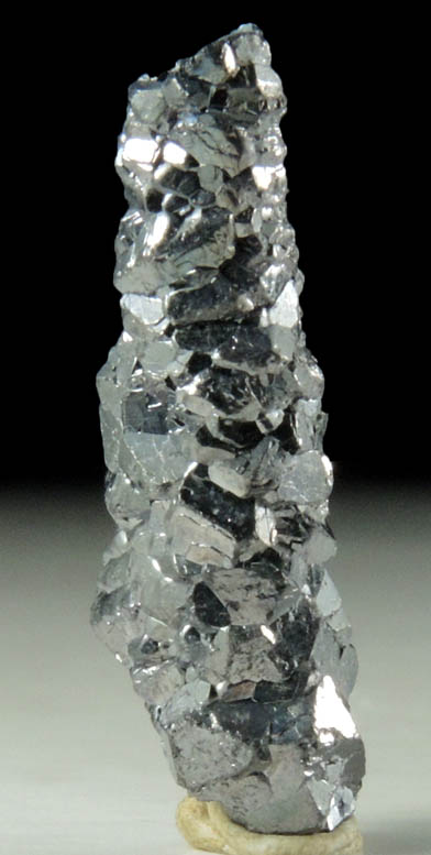 Galena (stalactitic) from Naica District, Saucillo, Chihuahua, Mexico