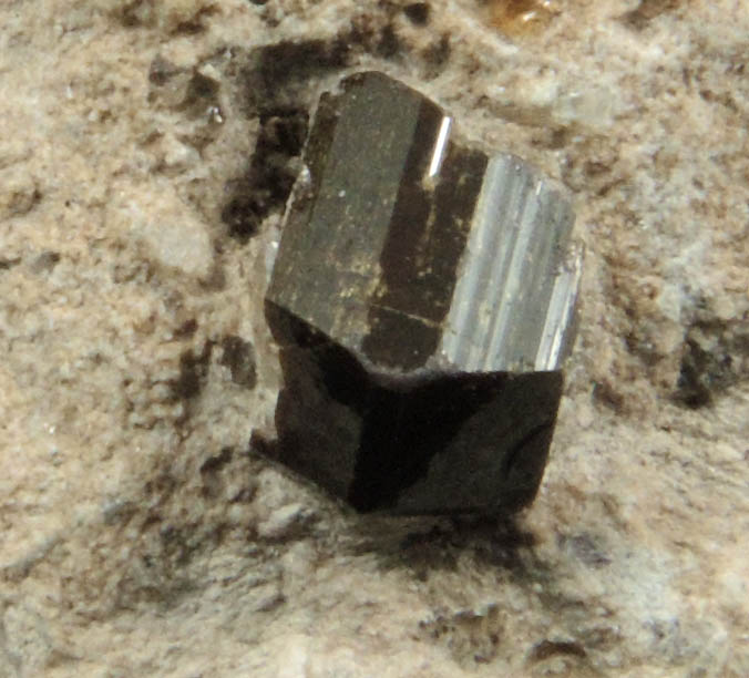 Fluor-buergerite Tourmaline (formerly Buergerite) from near Mexquitic, San Luis Potosí, Mexico (Type Locality for Fluor-buergerite Tourmaline (formerly Buergerite))