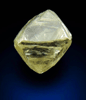 Diamond (0.76 carat yellow gem-quality cuttable octahedral rough diamond) from Jwaneng Mine, Naledi River Valley, Botswana