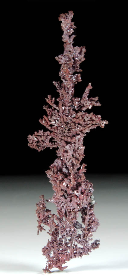 Copper (naturally crystallized native copper) with Cuprite coating from Itauz Mine, Karaganda Oblast', Kazakhstan