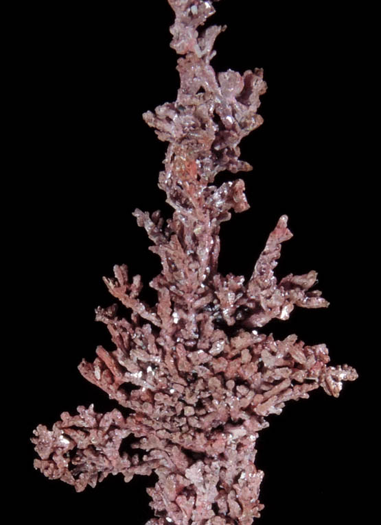 Copper (naturally crystallized native copper) with Cuprite coating from Itauz Mine, Karaganda Oblast', Kazakhstan