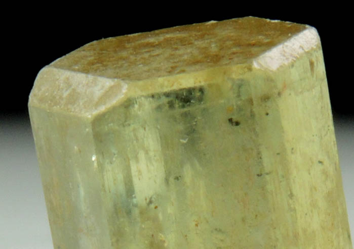 Fluorapatite from Anemzy, Imilchil, Errachidia, Morocco