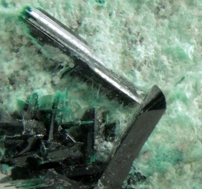 Brochantite from Milpillas Mine, Cuitaca, Sonora, Mexico