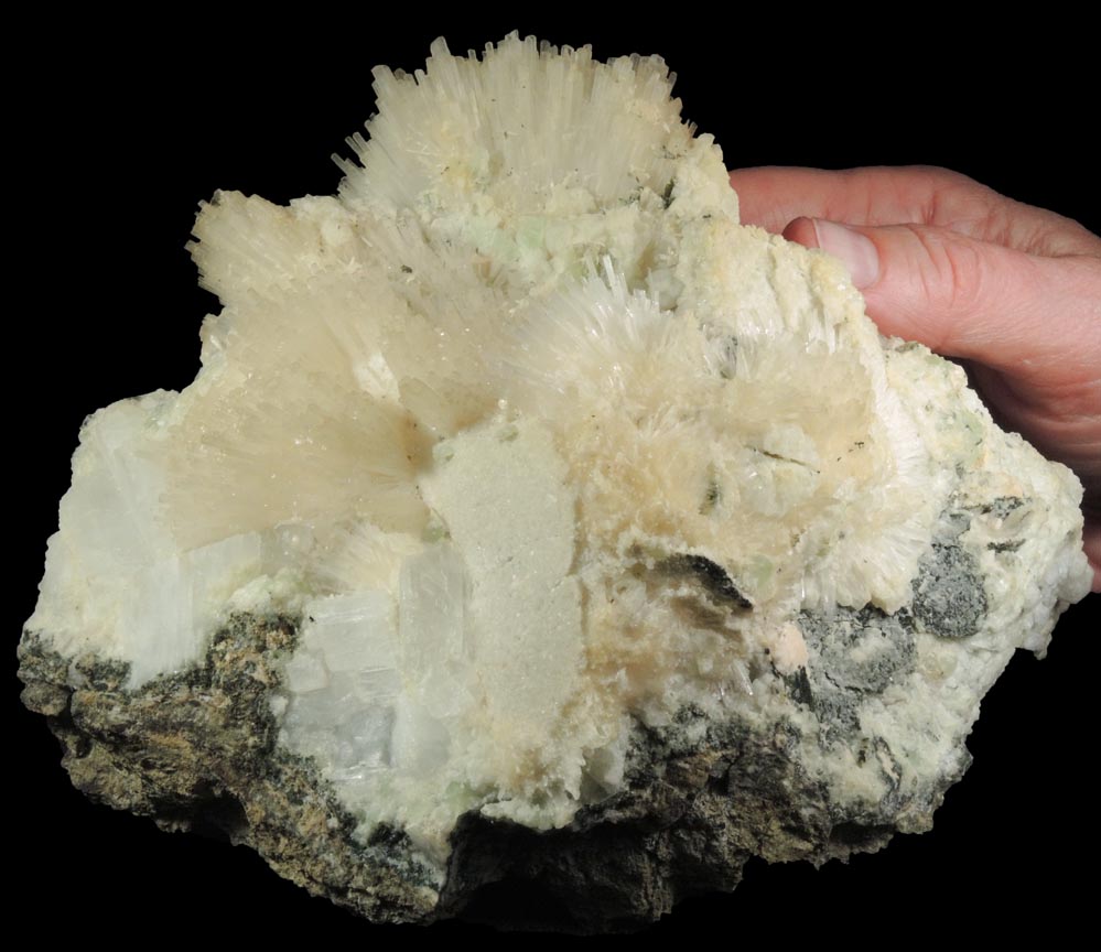 Natrolite, Prehnite, Analcime, Calcite, Apophyllite from Prospect Park Quarry, Prospect Park, Passaic County, New Jersey