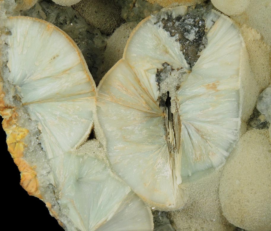 Pectolite over Datolite from Millington Quarry, State Pit, Bernards Township, Somerset County, New Jersey