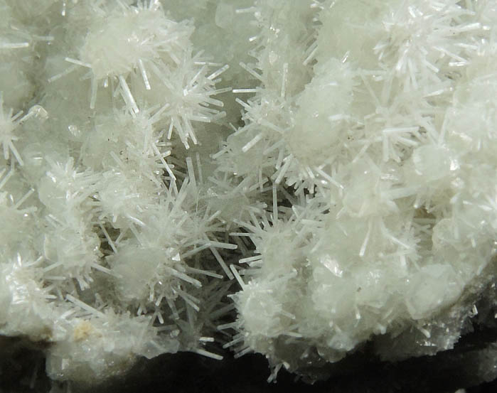 Natrolite over Datolite from Millington Quarry, Bernards Township, Somerset County, New Jersey