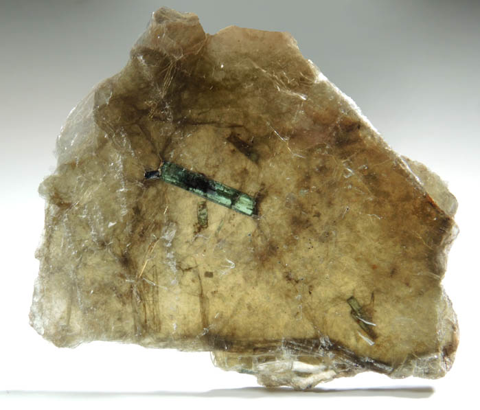 Elbaite Tourmaline in Muscovite from Harvard Quarry, Noyes Mountain, Greenwood, Oxford County, Maine