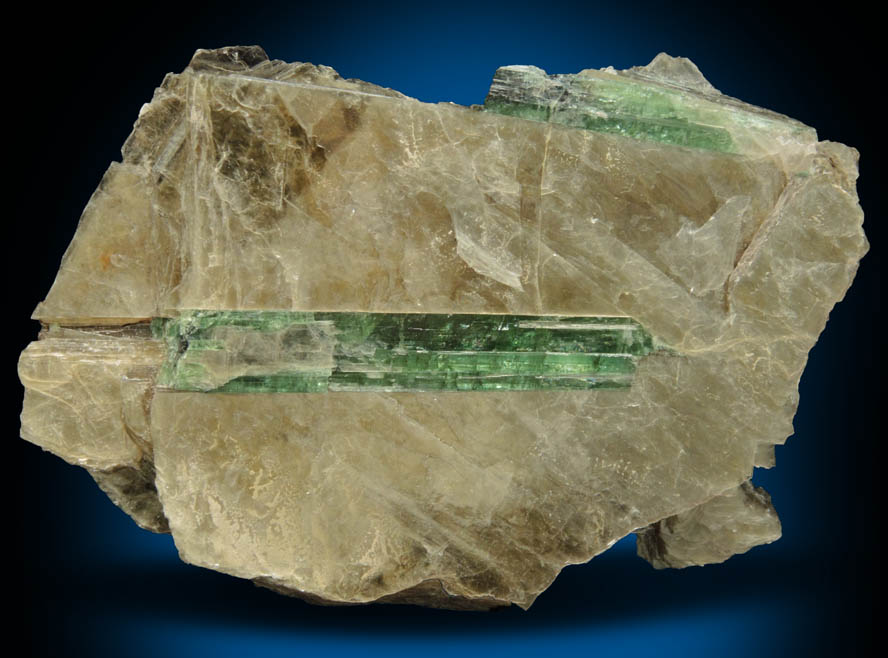 Elbaite Tourmaline in Muscovite from Harvard Quarry, Noyes Mountain, Greenwood, Oxford County, Maine