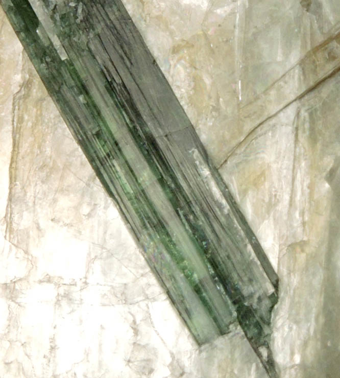 Elbaite Tourmaline in Muscovite from Harvard Quarry, Noyes Mountain, Greenwood, Oxford County, Maine