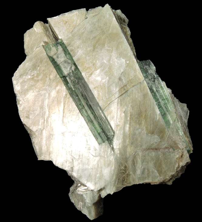 Elbaite Tourmaline in Muscovite from Harvard Quarry, Noyes Mountain, Greenwood, Oxford County, Maine