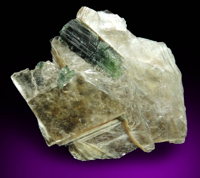 Elbaite Tourmaline in Muscovite from Harvard Quarry, Noyes Mountain, Greenwood, Oxford County, Maine