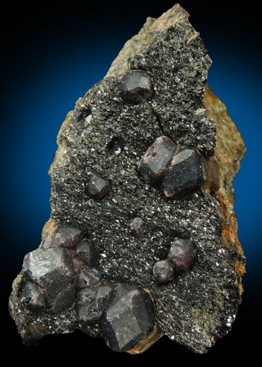 Almandine Garnet and Biotite Mica from Pipeline excavation, south of Diamond Lake, Glastonbury, Hartford County, Connecticut