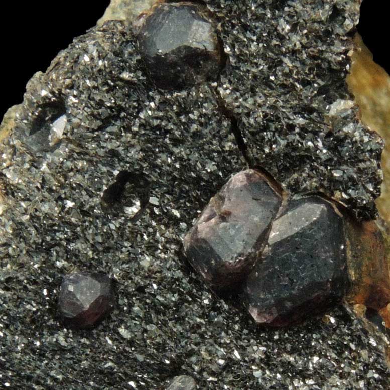 Almandine Garnet and Biotite Mica from Pipeline excavation, south of Diamond Lake, Glastonbury, Hartford County, Connecticut