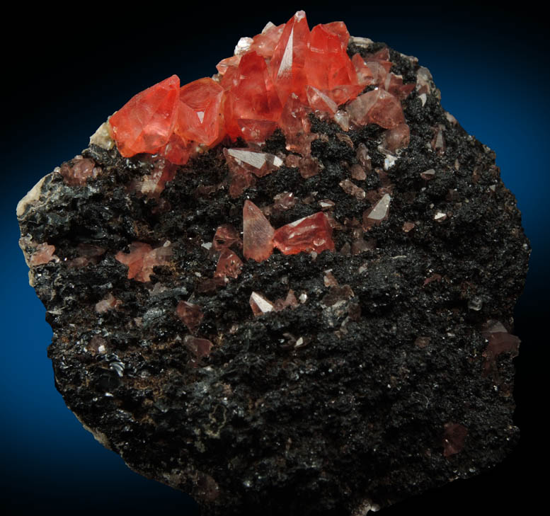 Rhodochrosite on manganese-oxide matrix from Uchucchacua Mine, Oyon, Cajatambo, Peru