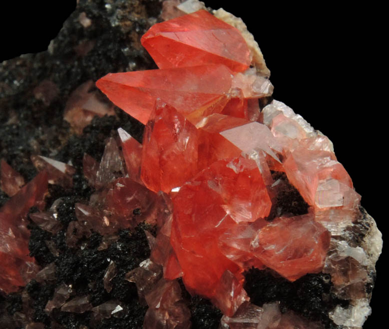 Rhodochrosite on manganese-oxide matrix from Uchucchacua Mine, Oyon, Cajatambo, Peru
