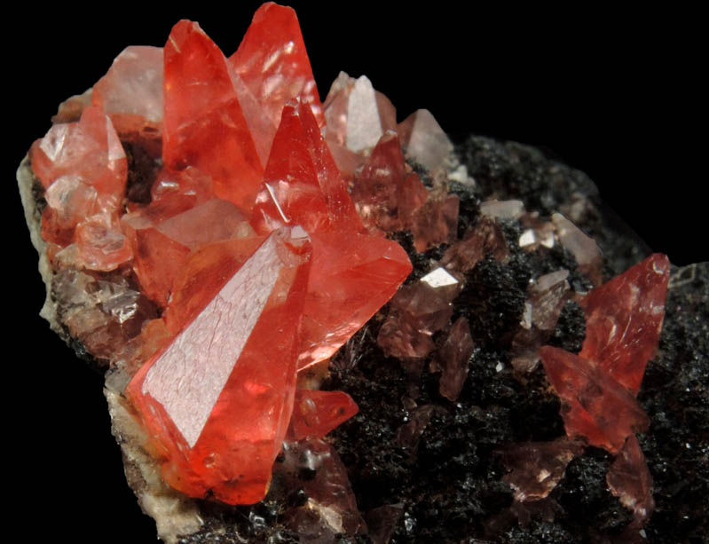 Rhodochrosite on manganese-oxide matrix from Uchucchacua Mine, Oyon, Cajatambo, Peru