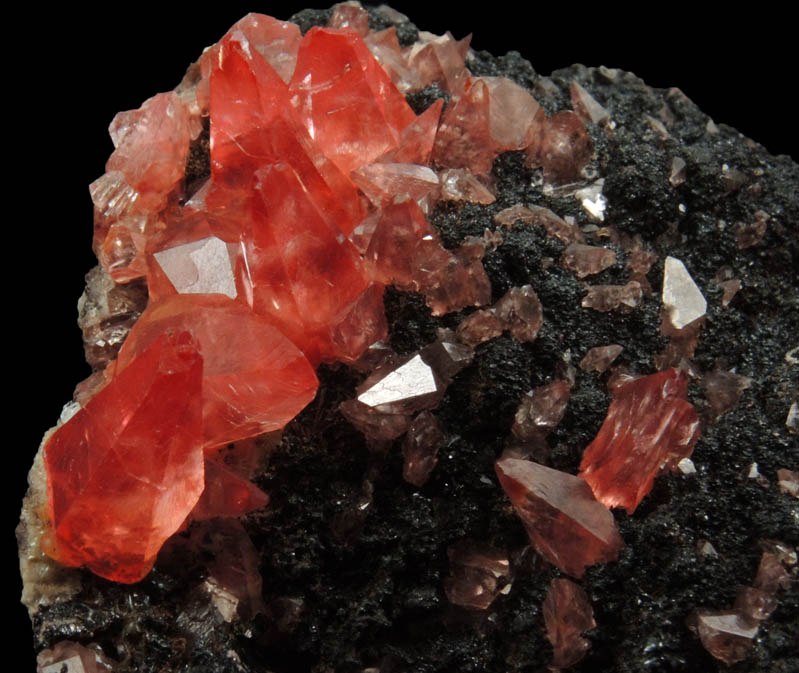 Rhodochrosite on manganese-oxide matrix from Uchucchacua Mine, Oyon, Cajatambo, Peru
