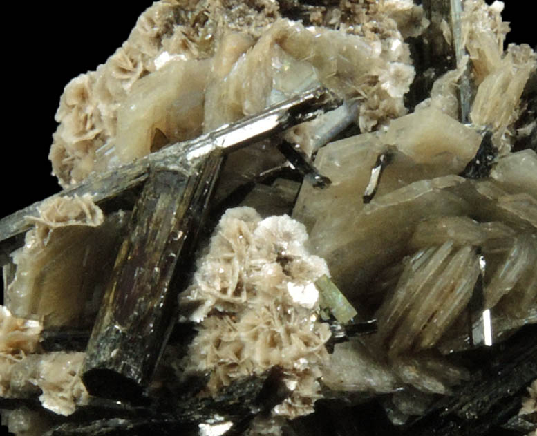 Catapleiite, Polylithionite, Aegirine from Mont Saint-Hilaire, Qubec, Canada