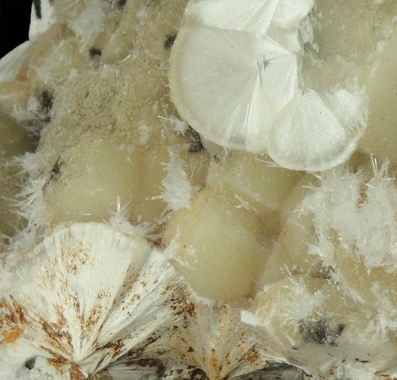 Natrolite on Pectolite from Millington Quarry, Bernards Township, Somerset County, New Jersey