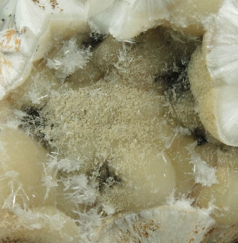 Natrolite on Pectolite from Millington Quarry, Bernards Township, Somerset County, New Jersey