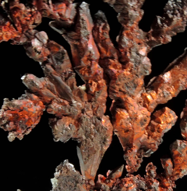 Copper (naturally crystallized native copper) from Mountain City Copper Mine, Elko County, Nevada