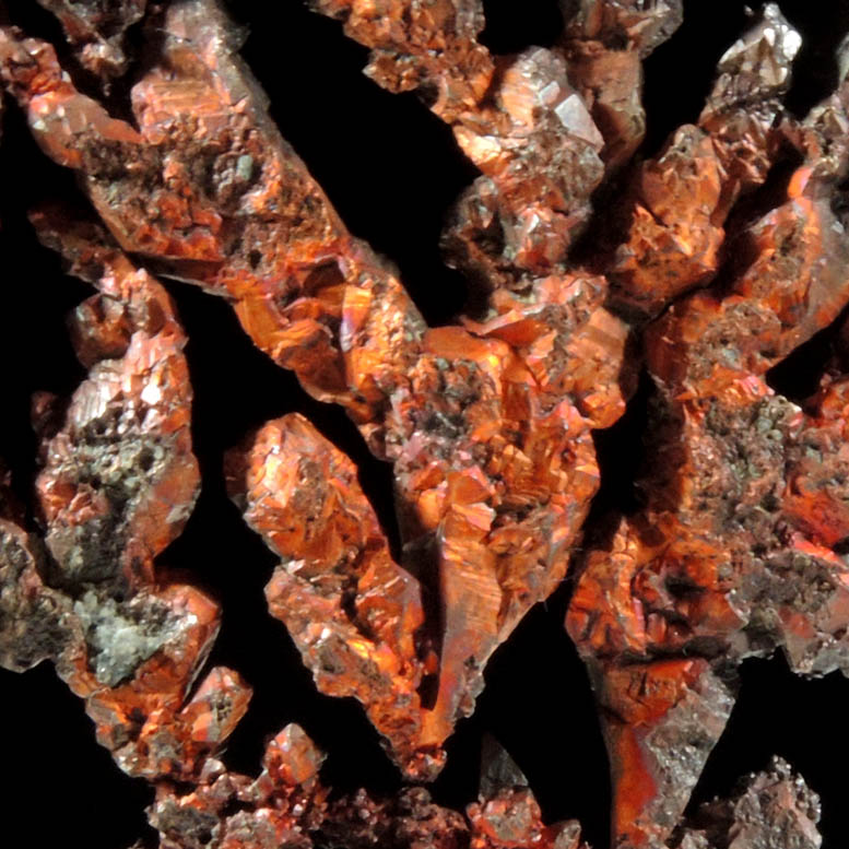 Copper (naturally crystallized native copper) from Mountain City Copper Mine, Elko County, Nevada