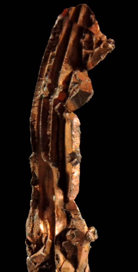 Copper (elongated Spinel-Law twinned native copper crystals) from Itauz Mine, Karaganda Oblast', Kazakhstan