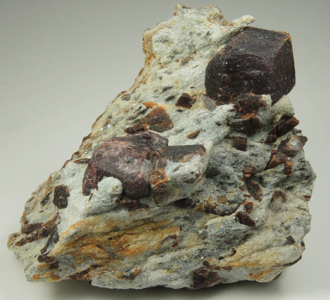 Almandine Garnet with Staurolite from Green's Farm, 750 m. ESE of Roxbury Falls, Roxbury, New Haven County, Connecticut