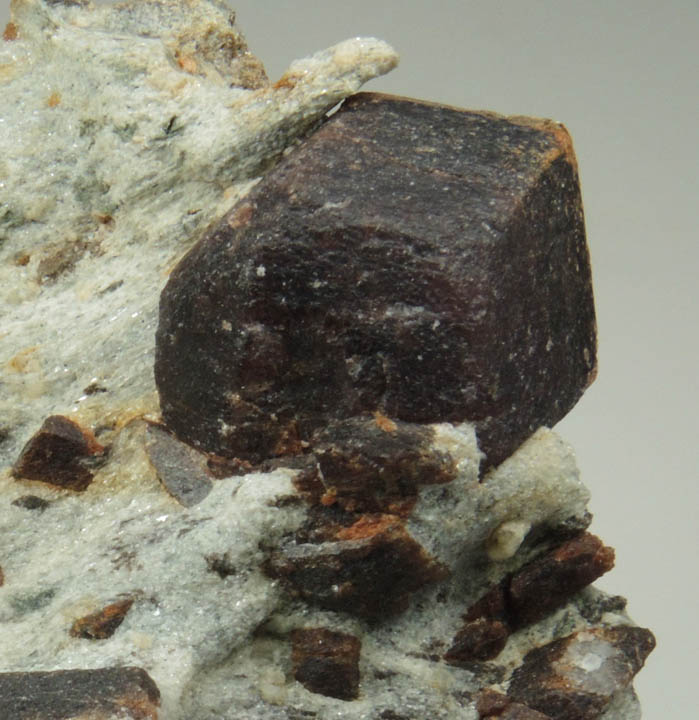 Almandine Garnet with Staurolite from Green's Farm, 750 m. ESE of Roxbury Falls, Roxbury, New Haven County, Connecticut