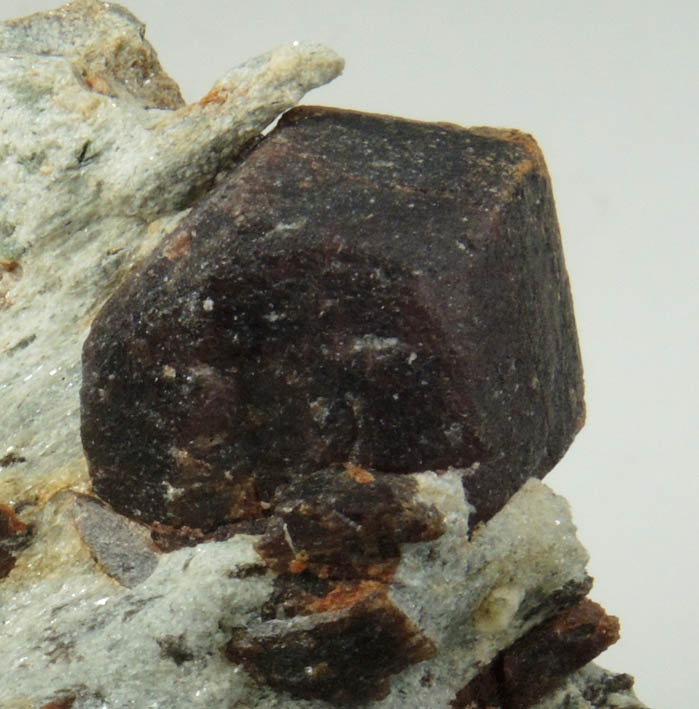 Almandine Garnet with Staurolite from Green's Farm, 750 m. ESE of Roxbury Falls, Roxbury, New Haven County, Connecticut