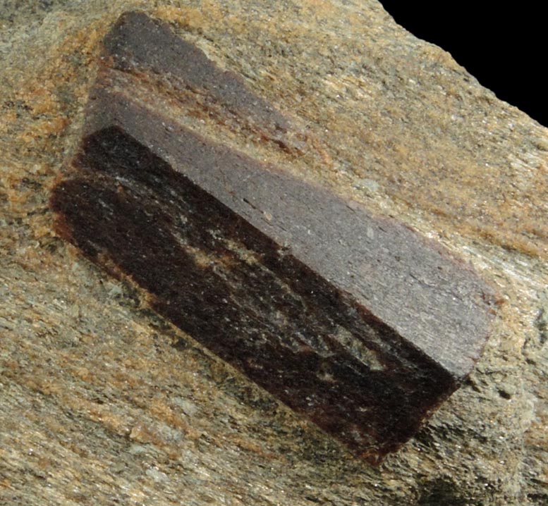 Staurolite with Almandine Garnet from Pond Hill, near Pearl Lake, Lisbon, Grafton County, New Hampshire