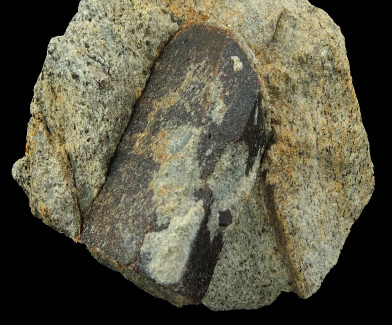 Staurolite with Almandine Garnet from Pond Hill, near Pearl Lake, Lisbon, Grafton County, New Hampshire