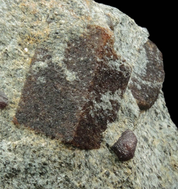 Staurolite with Almandine Garnet from Pond Hill, near Pearl Lake, Lisbon, Grafton County, New Hampshire