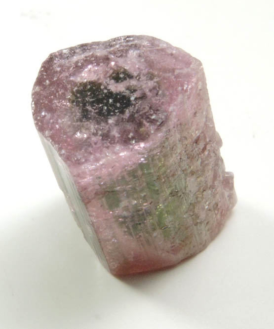 Elbaite Tourmaline (bi-colored) from Minas Gerais, Brazil