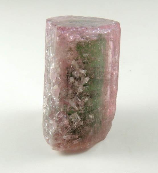 Elbaite Tourmaline (bi-colored) from Minas Gerais, Brazil