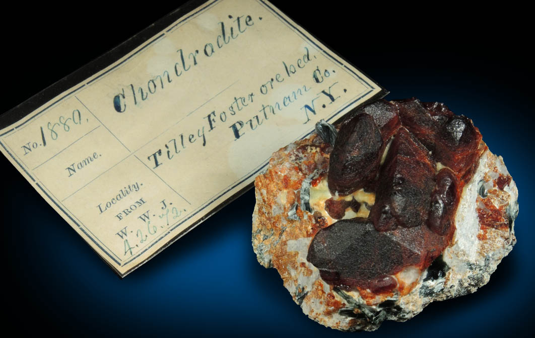 Chondrodite with Clinochlore from Tilly Foster Iron Mine, near Brewster, Putnam County, New York