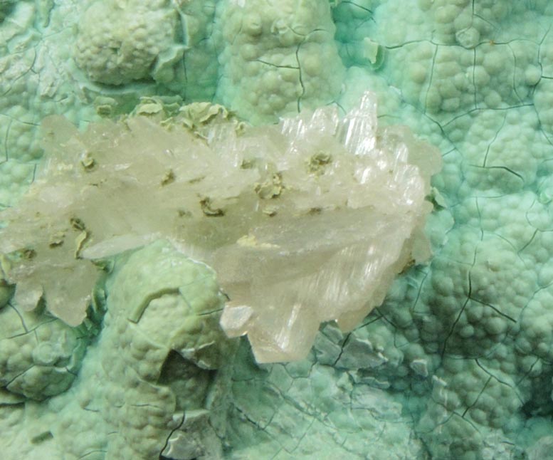 Chrysocolla with Cerussite from Mammoth Mine, Tiger District, Pinal County, Arizona