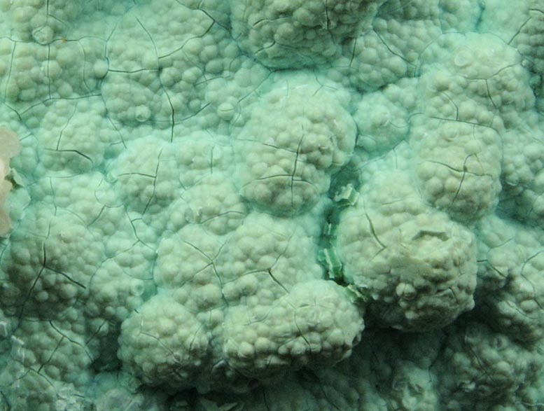 Chrysocolla with Cerussite from Mammoth Mine, Tiger District, Pinal County, Arizona