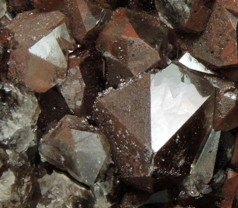 Quartz var. Smoky Quartz with Hematite inclusions from Auchenlosh Quarry, Dalbeattie, Dumfries & Galloway, Scotland