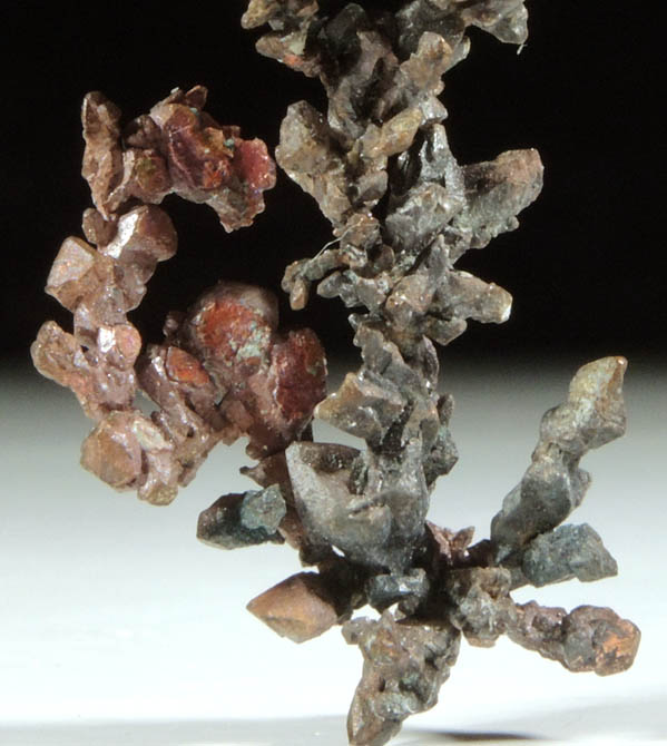 Copper (naturally crystallized native copper) from Itauz Mine, Karaganda Oblast', Kazakhstan
