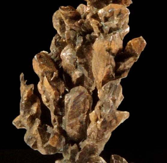 Copper (naturally crystallized native copper) from Itauz Mine, Karaganda Oblast', Kazakhstan