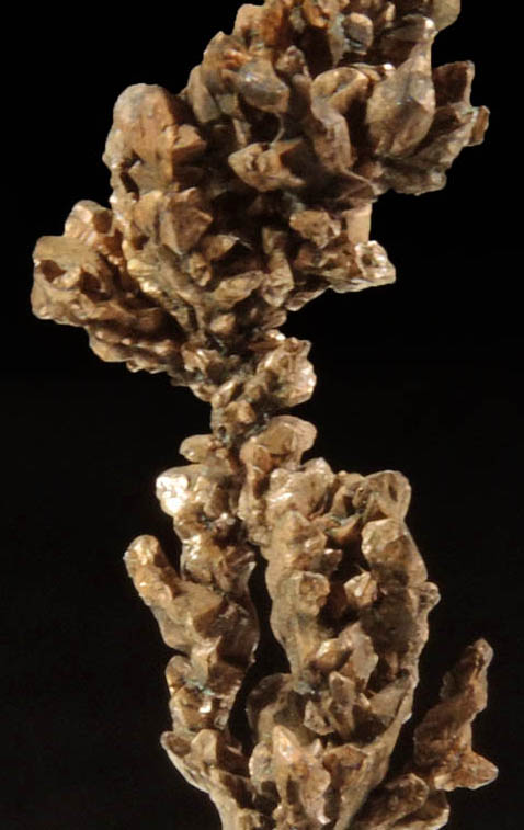 Copper (naturally crystallized native copper) from Itauz Mine, Karaganda Oblast', Kazakhstan