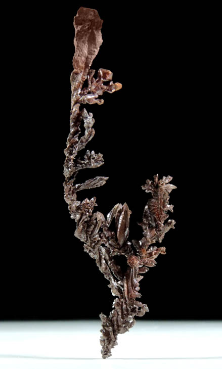 Copper (rare twisted native copper crystals) from Itauz Mine, Karaganda Oblast', Kazakhstan