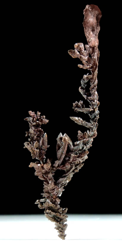 Copper (rare twisted native copper crystals) from Itauz Mine, Karaganda Oblast', Kazakhstan