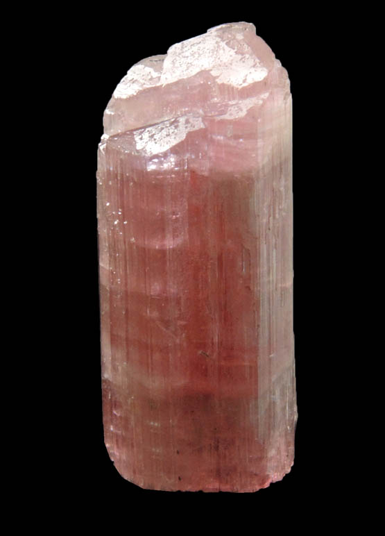 Elbaite var. Rubellite Tourmaline from Himalaya Mine, Mesa Grande District, San Diego County, California