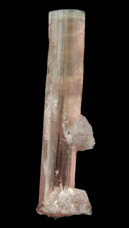 Elbaite var. Rubellite Tourmaline with Lepidolite from Himalaya Mine, Mesa Grande District, San Diego County, California