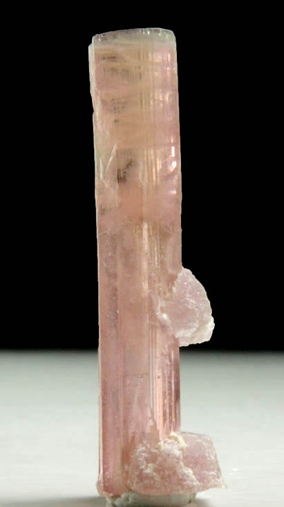 Elbaite var. Rubellite Tourmaline with Lepidolite from Himalaya Mine, Mesa Grande District, San Diego County, California