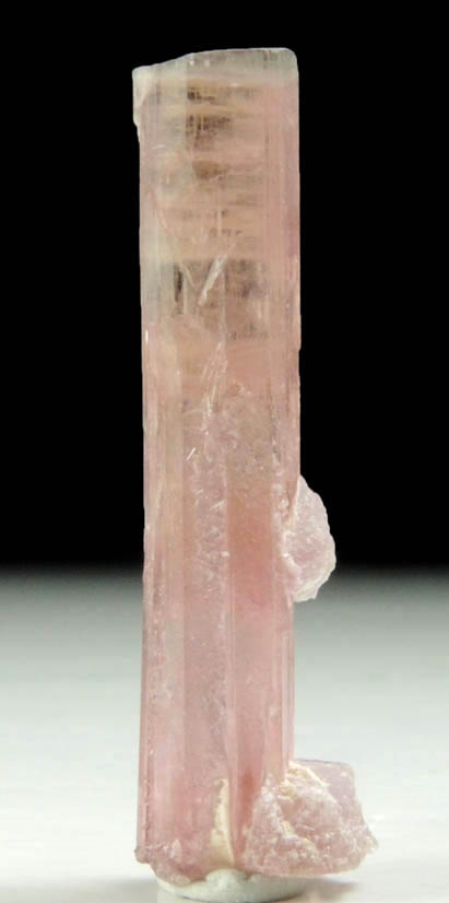 Elbaite var. Rubellite Tourmaline with Lepidolite from Himalaya Mine, Mesa Grande District, San Diego County, California